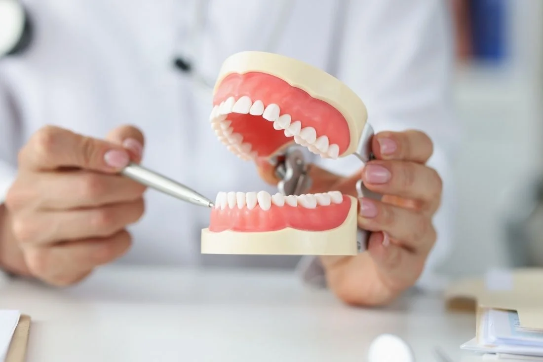 Dentist in Bohemia Dental Hygiene Education